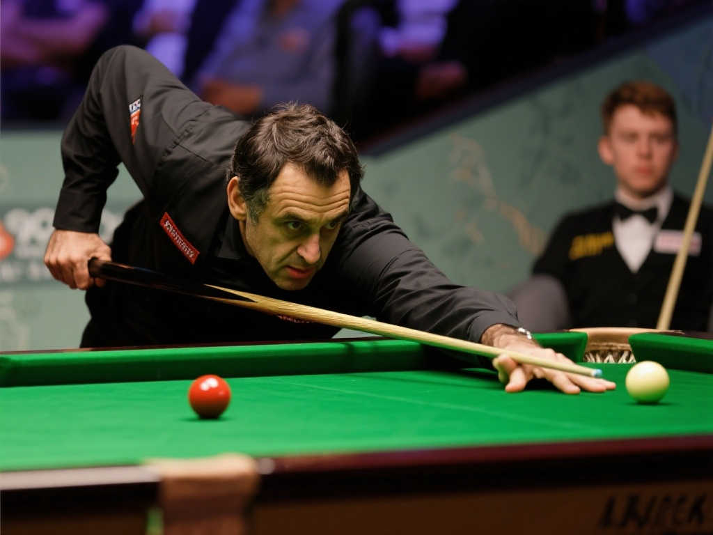 拥有了更强 拥有了更强